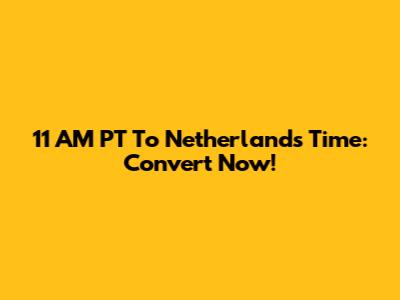 11 AM PT To Netherlands Time: Convert Now!