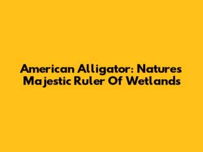 American Alligator: Nature's Majestic Ruler Of Wetlands