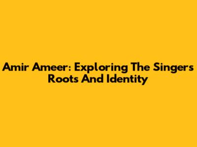Amir Ameer: Exploring The Singer's Roots And Identity