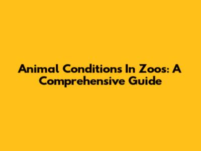 Animal Conditions In Zoos: A Comprehensive Guide