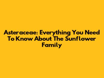 Asteraceae: Everything You Need To Know About The Sunflower Family