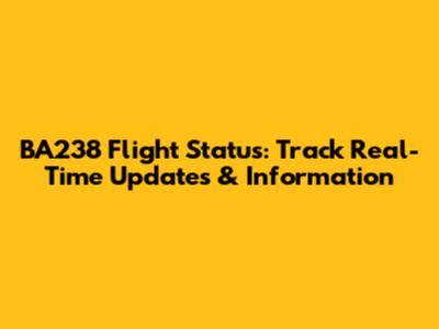 BA238 Flight Status: Track Real-Time Updates & Information