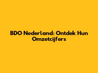 BDO Nederland: Ontdek Hun Omzetcijfers