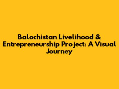 Balochistan Livelihood & Entrepreneurship Project: A Visual Journey