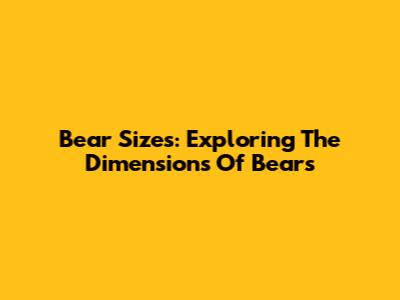 Bear Sizes: Exploring The Dimensions Of Bears