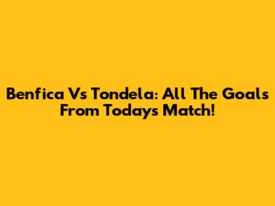 Benfica Vs Tondela: All The Goals From Today's Match!
