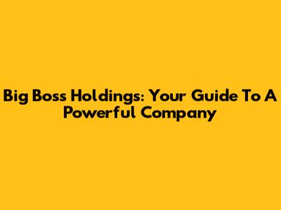 Big Boss Holdings: Your Guide To A Powerful Company