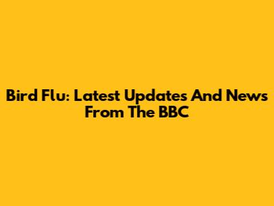 Bird Flu: Latest Updates And News From The BBC