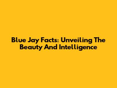 Blue Jay Facts: Unveiling The Beauty And Intelligence
