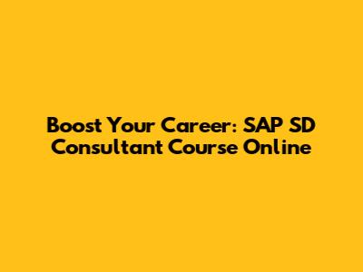 Boost Your Career: SAP SD Consultant Course Online