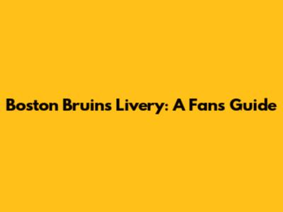 Boston Bruins Livery: A Fan's Guide