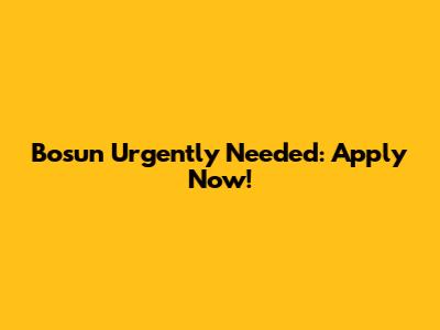 Bosun Urgently Needed: Apply Now!