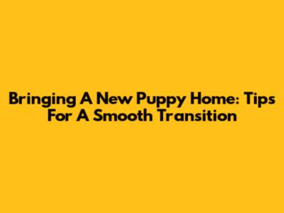 Bringing A New Puppy Home: Tips For A Smooth Transition