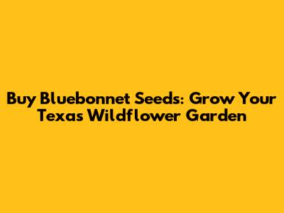 Buy Bluebonnet Seeds: Grow Your Texas Wildflower Garden