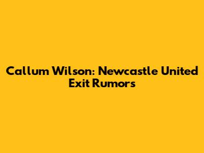 Callum Wilson: Newcastle United Exit Rumors