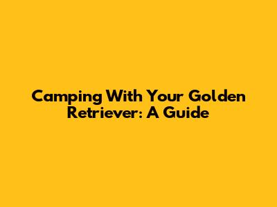 Camping With Your Golden Retriever: A Guide