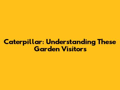 Caterpillar: Understanding These Garden Visitors