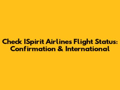 Check ISpirit Airlines Flight Status: Confirmation & International