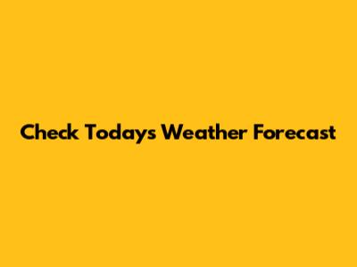 Check Today's Weather Forecast