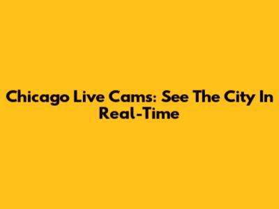 Chicago Live Cams: See The City In Real-Time