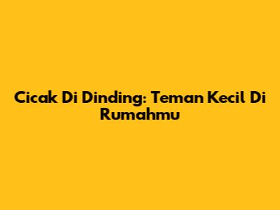 Cicak Di Dinding: Teman Kecil Di Rumahmu
