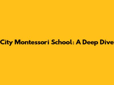 City Montessori School: A Deep Dive