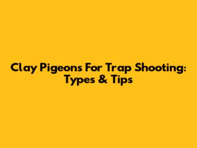 Clay Pigeons For Trap Shooting: Types & Tips