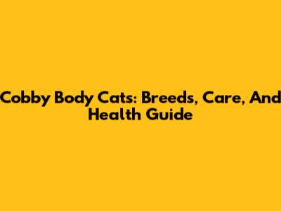 Cobby Body Cats: Breeds, Care, And Health Guide