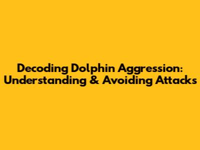 Decoding Dolphin Aggression: Understanding & Avoiding Attacks