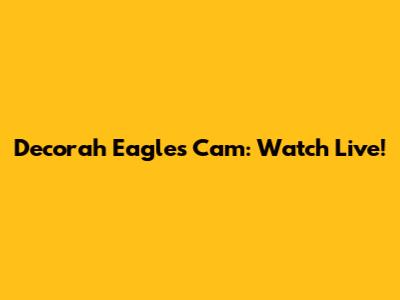 Decorah Eagles Cam: Watch Live!