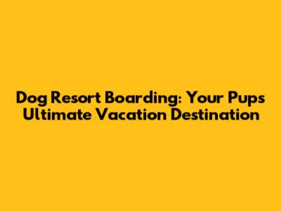Dog Resort Boarding: Your Pup's Ultimate Vacation Destination