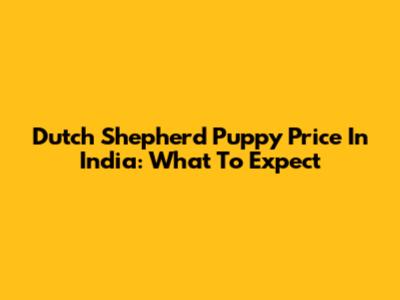 Dutch Shepherd Puppy Price In India: What To Expect