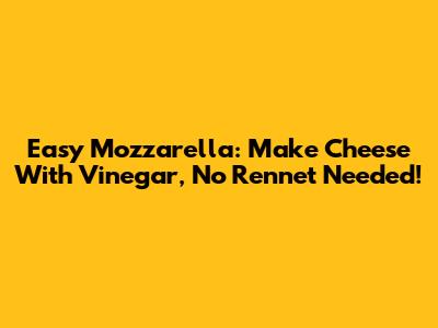Easy Mozzarella: Make Cheese With Vinegar, No Rennet Needed!