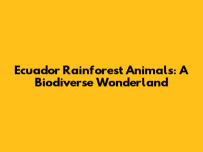 Ecuador Rainforest Animals: A Biodiverse Wonderland