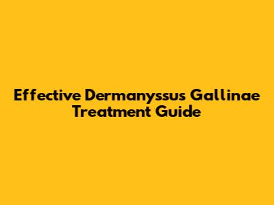 Effective Dermanyssus Gallinae Treatment Guide