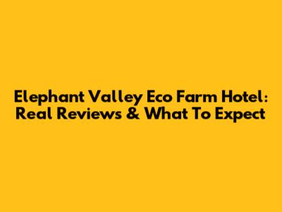 Elephant Valley Eco Farm Hotel: Real Reviews & What To Expect