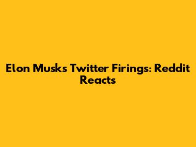 Elon Musk's Twitter Firings: Reddit Reacts