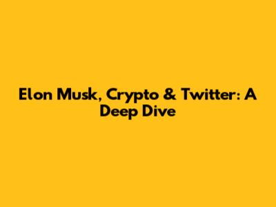 Elon Musk, Crypto & Twitter: A Deep Dive