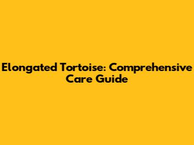Elongated Tortoise: Comprehensive Care Guide