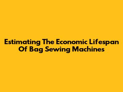 Estimating The Economic Lifespan Of Bag Sewing Machines