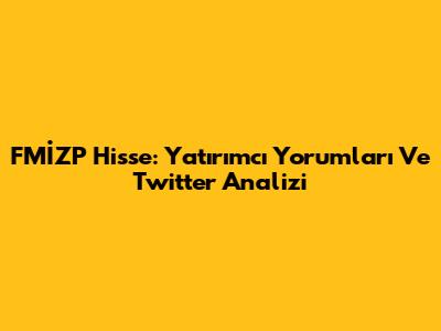 FMİZP Hisse: Yatırımcı Yorumları Ve Twitter Analizi
