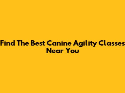 Find The Best Canine Agility Classes Near You