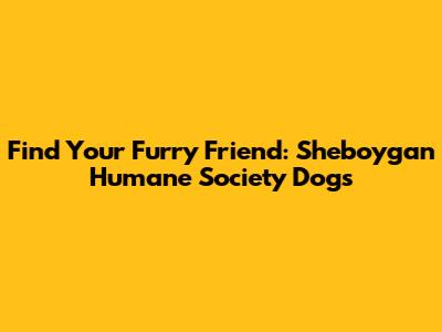 Find Your Furry Friend: Sheboygan Humane Society Dogs