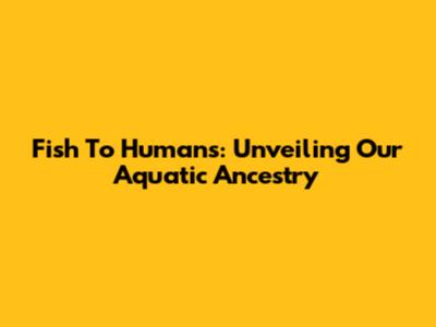 Fish To Humans: Unveiling Our Aquatic Ancestry