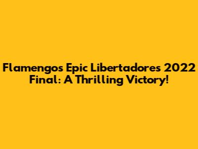 Flamengo's Epic Libertadores 2022 Final: A Thrilling Victory!
