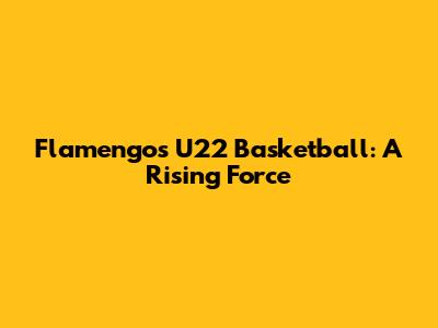 Flamengo's U22 Basketball: A Rising Force