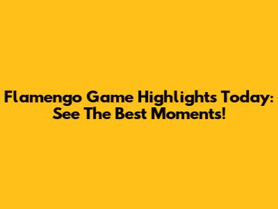 Flamengo Game Highlights Today: See The Best Moments!