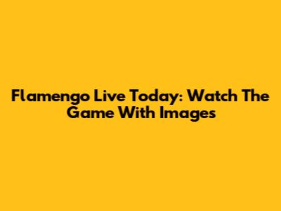 Flamengo Live Today: Watch The Game With Images