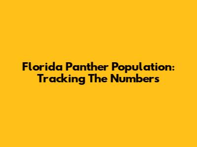 Florida Panther Population: Tracking The Numbers