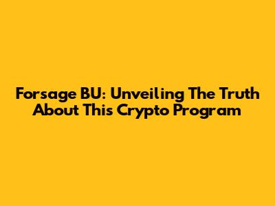 Forsage BU: Unveiling The Truth About This Crypto Program